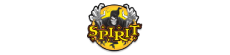 Spirit Halloween Coupons, Promo Codes & Deals
